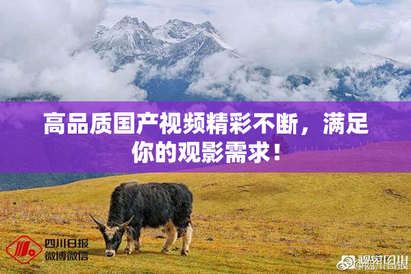 高品质国产视频精彩不断，满足你的观影需求！