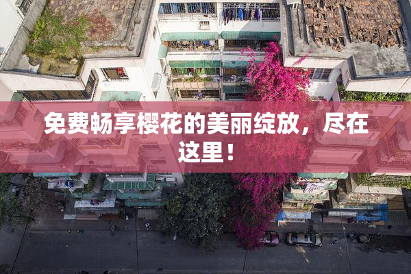 免费畅享樱花的美丽绽放，尽在这里！