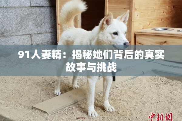 91人妻精：揭秘她们背后的真实故事与挑战