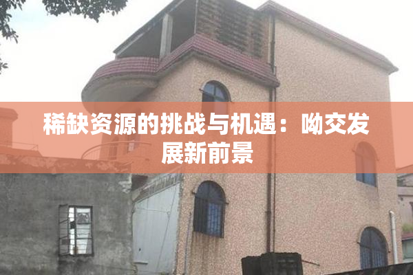 稀缺资源的挑战与机遇：呦交发展新前景