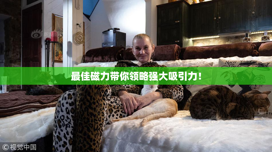 最佳磁力带你领略强大吸引力！