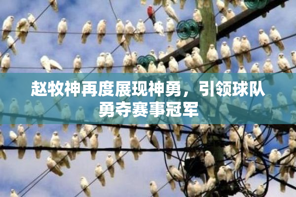 赵牧神再度展现神勇，引领球队勇夺赛事冠军