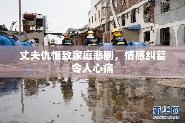 丈夫仇恨致家庭悲剧，情感纠葛令人心痛