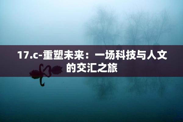 17.c-重塑未来：一场科技与人文的交汇之旅