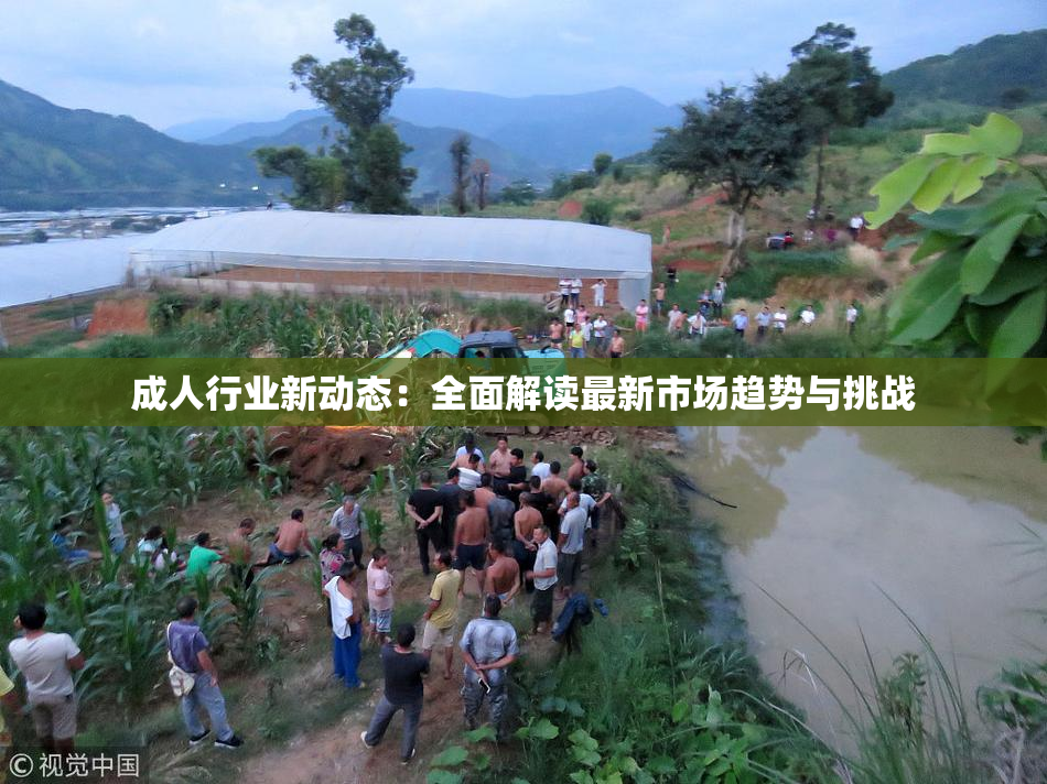 成人行业新动态：全面解读最新市场趋势与挑战