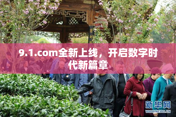 9.1.com全新上线，开启数字时代新篇章