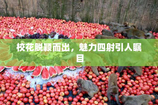 校花脱颖而出，魅力四射引人瞩目