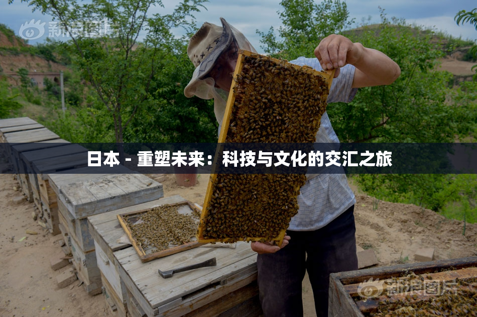 日本 - 重塑未来：科技与文化的交汇之旅
