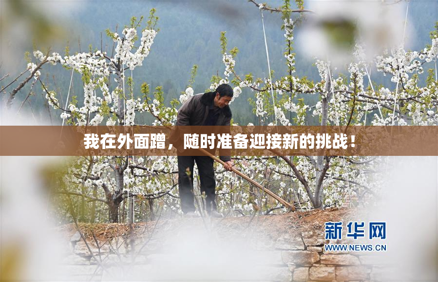 我在外面蹭，随时准备迎接新的挑战！