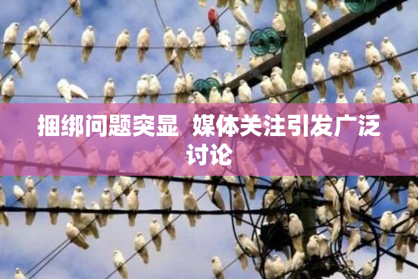 捆绑问题突显  媒体关注引发广泛讨论