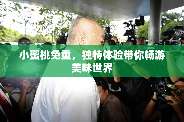 小蜜桃免重，独特体验带你畅游美味世界