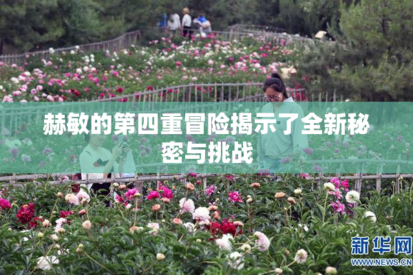 赫敏的第四重冒险揭示了全新秘密与挑战