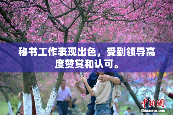 秘书工作表现出色，受到领导高度赞赏和认可。