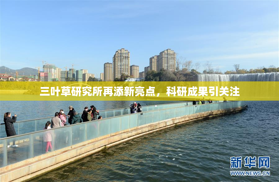 三叶草研究所再添新亮点，科研成果引关注