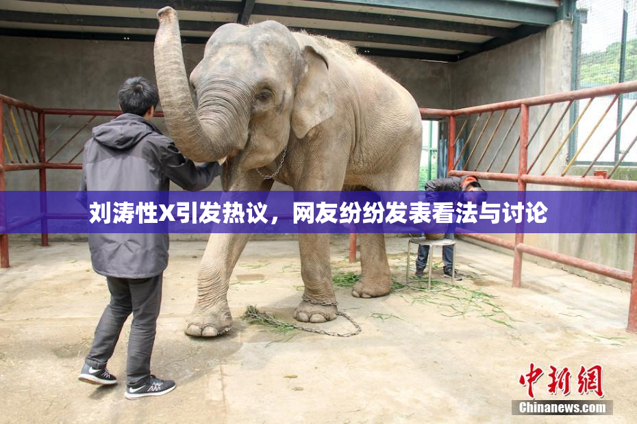 刘涛性X引发热议，网友纷纷发表看法与讨论