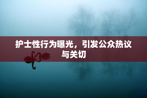 护士性行为曝光，引发公众热议与关切
