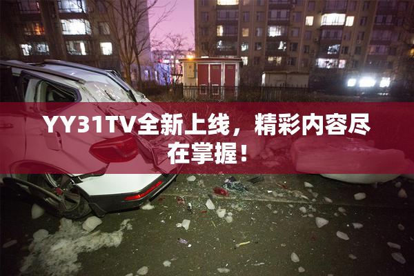 YY31TV全新上线，精彩内容尽在掌握！