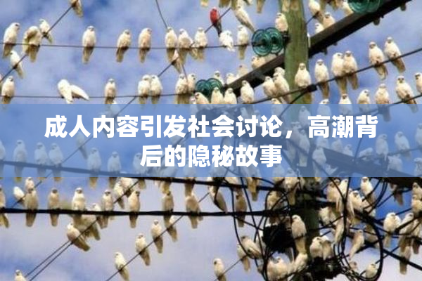 成人内容引发社会讨论，高潮背后的隐秘故事