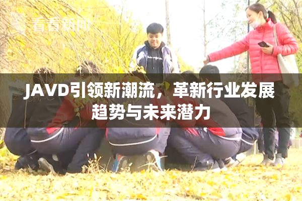 JAVD引领新潮流，革新行业发展趋势与未来潜力