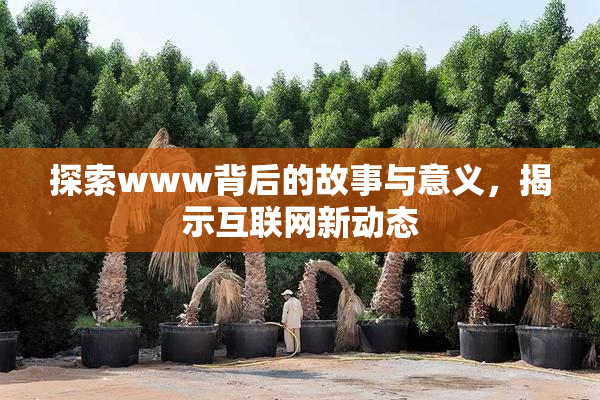 探索www背后的故事与意义，揭示互联网新动态