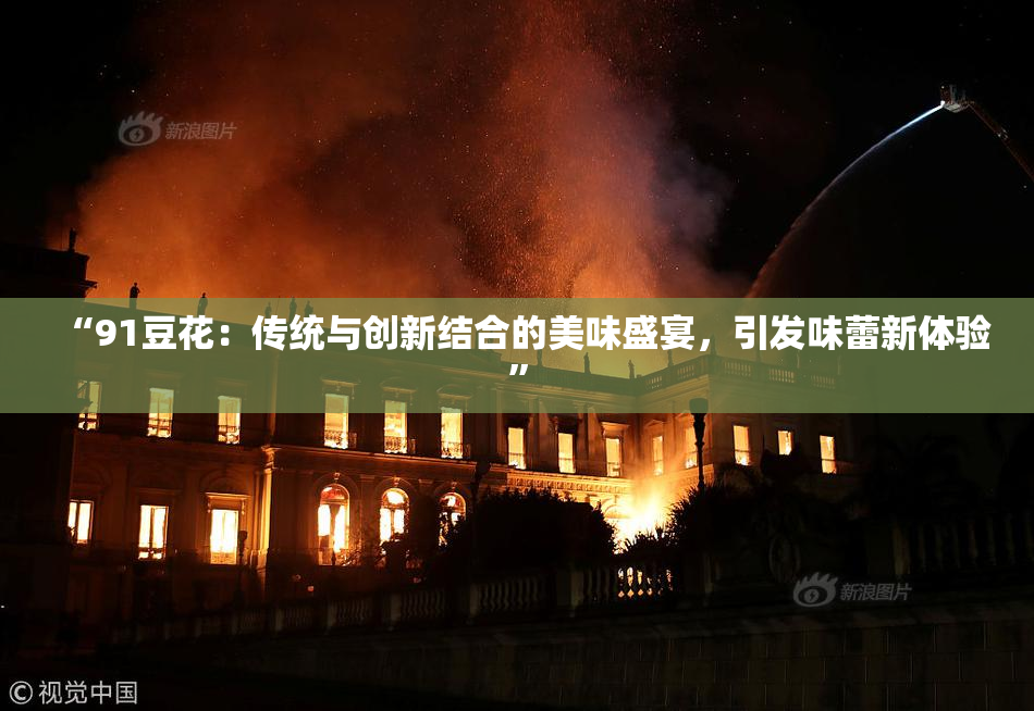 “91豆花：传统与创新结合的美味盛宴，引发味蕾新体验”