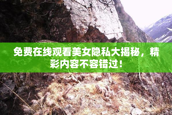免费在线观看美女隐私大揭秘，精彩内容不容错过！
