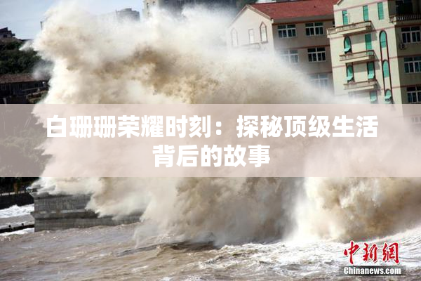 白珊珊荣耀时刻：探秘顶级生活背后的故事