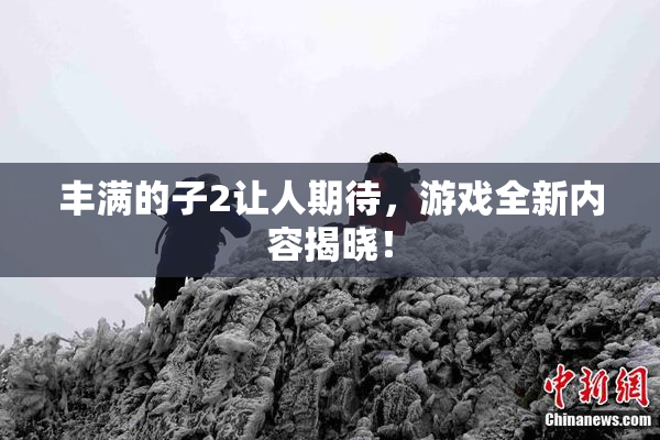 丰满的子2让人期待，游戏全新内容揭晓！
