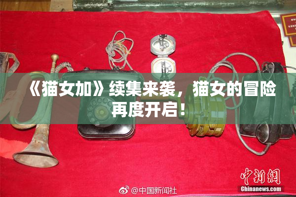 《猫女加》续集来袭，猫女的冒险再度开启！