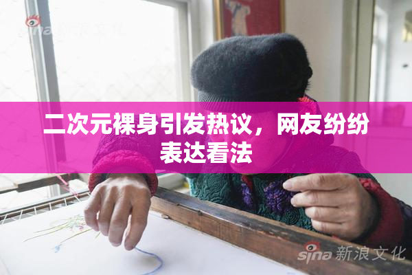 二次元裸身引发热议，网友纷纷表达看法