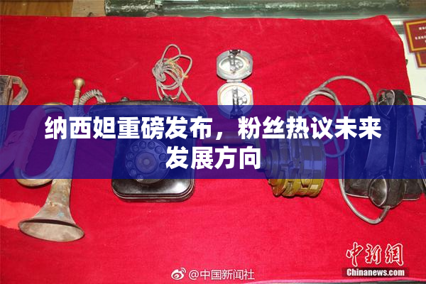 纳西妲重磅发布，粉丝热议未来发展方向