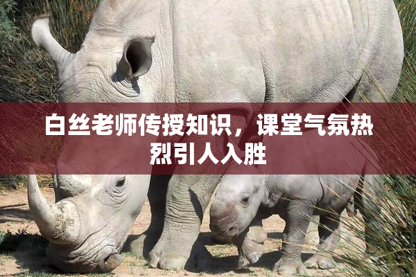 白丝老师传授知识，课堂气氛热烈引人入胜