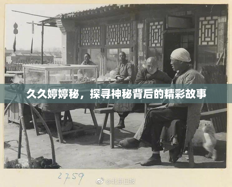 久久婷婷秘，探寻神秘背后的精彩故事