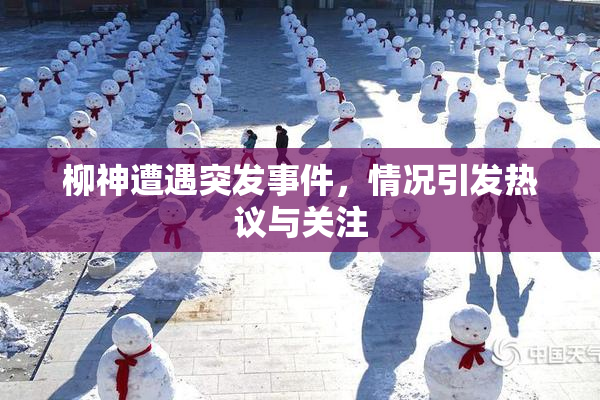 柳神遭遇突发事件，情况引发热议与关注
