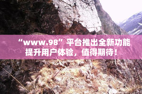 “www.98”平台推出全新功能提升用户体验，值得期待！