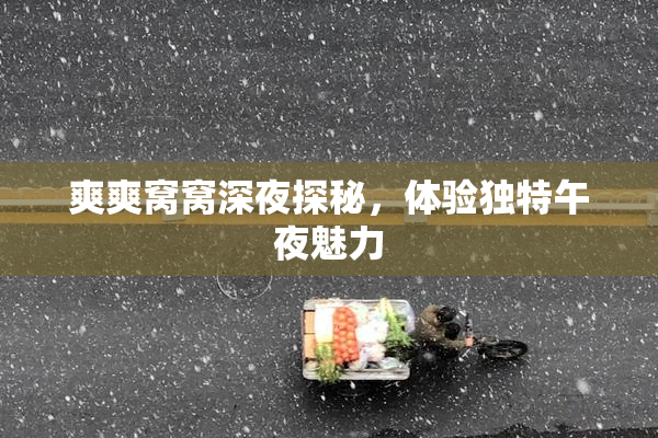 爽爽窝窝深夜探秘，体验独特午夜魅力