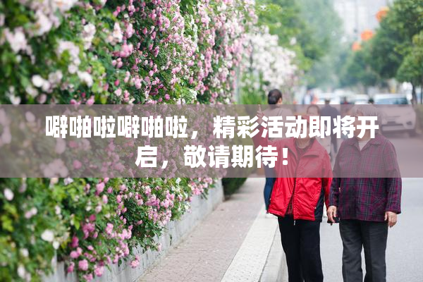 噼啪啦噼啪啦，精彩活动即将开启，敬请期待！