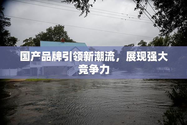 国产品牌引领新潮流，展现强大竞争力