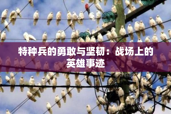 特种兵的勇敢与坚韧：战场上的英雄事迹