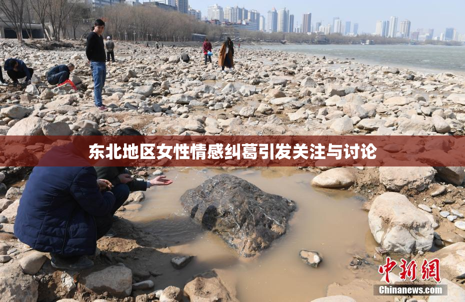 东北地区女性情感纠葛引发关注与讨论