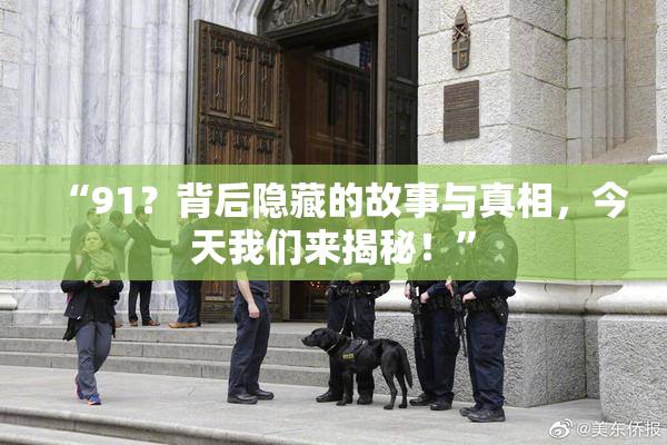 “91？背后隐藏的故事与真相，今天我们来揭秘！”