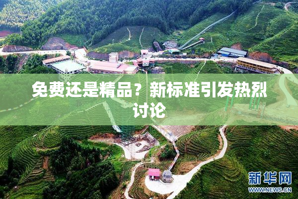 免费还是精品？新标准引发热烈讨论