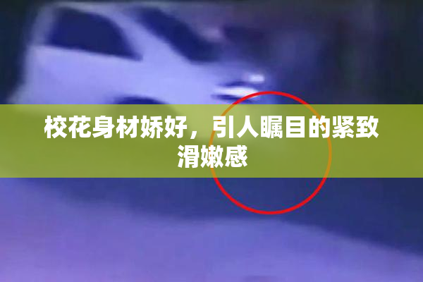 校花身材娇好，引人瞩目的紧致滑嫩感