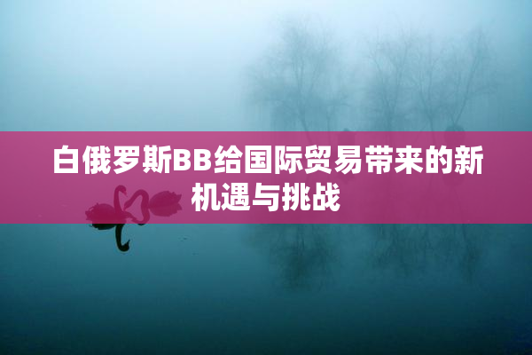 白俄罗斯BB给国际贸易带来的新机遇与挑战