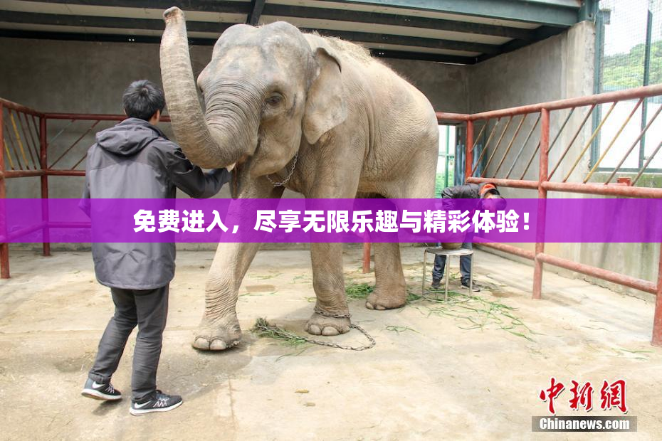 免费进入，尽享无限乐趣与精彩体验！
