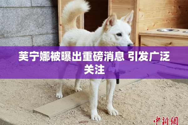 芙宁娜被曝出重磅消息 引发广泛关注