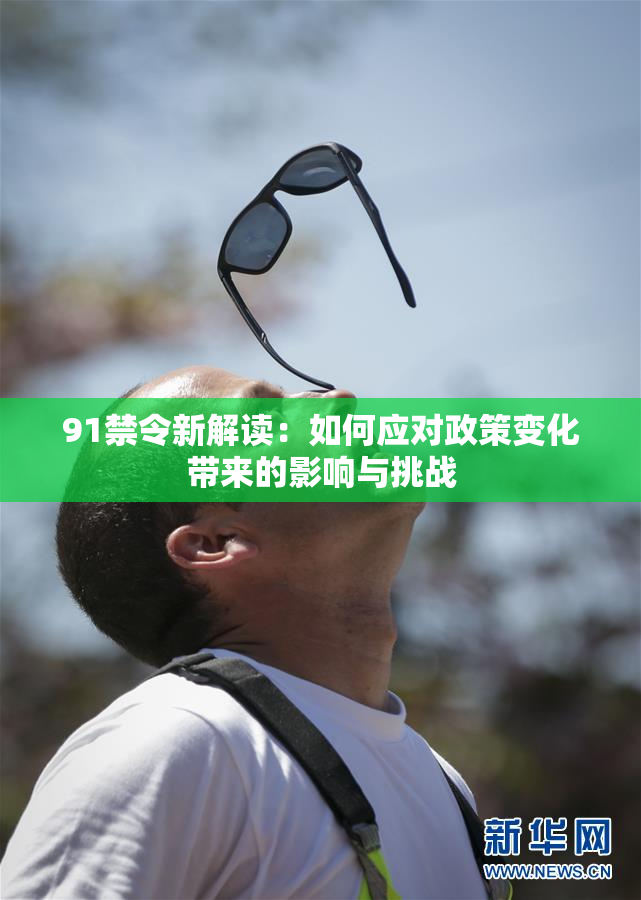 91禁令新解读：如何应对政策变化带来的影响与挑战