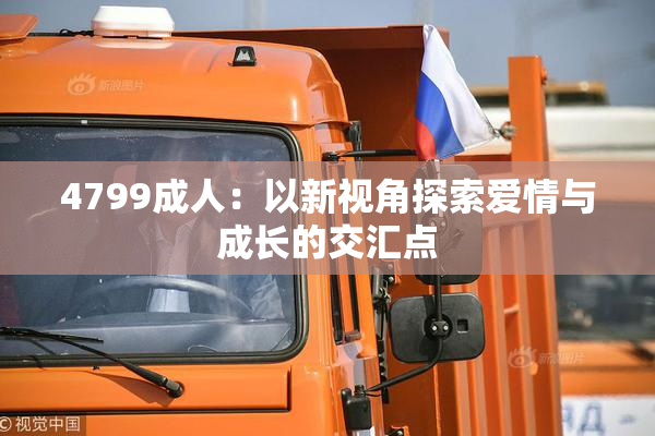 4799成人：以新视角探索爱情与成长的交汇点