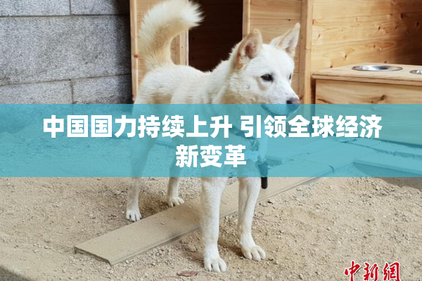 中国国力持续上升 引领全球经济新变革