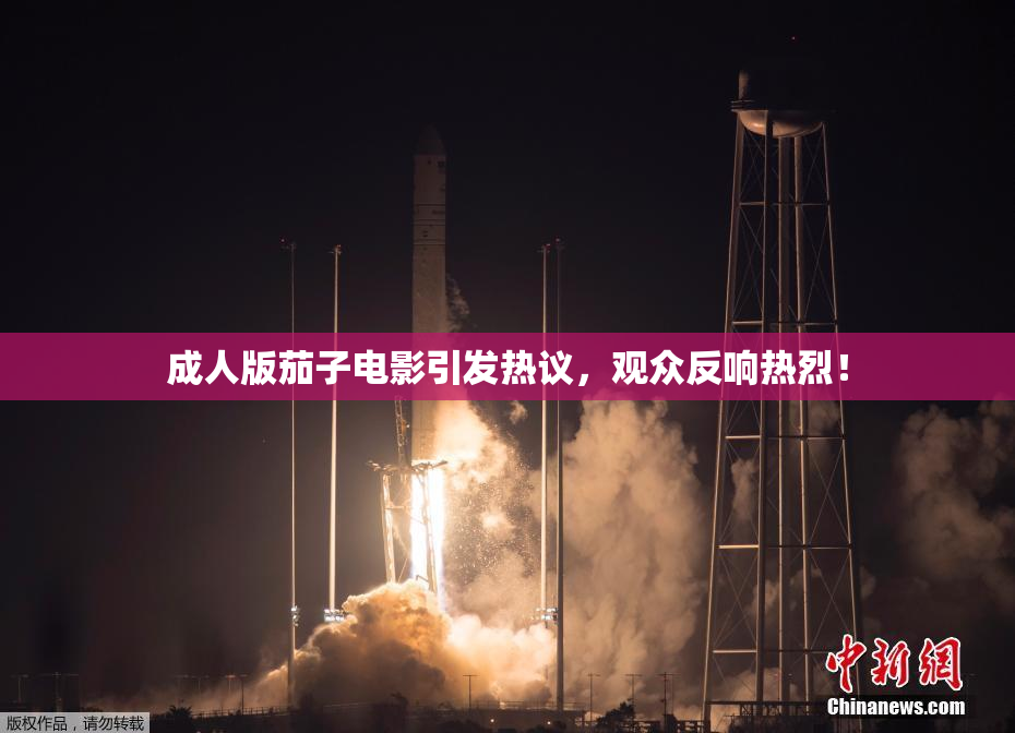 成人版茄子电影引发热议，观众反响热烈！